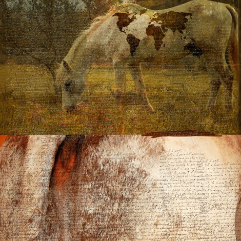 il cavallo di troia